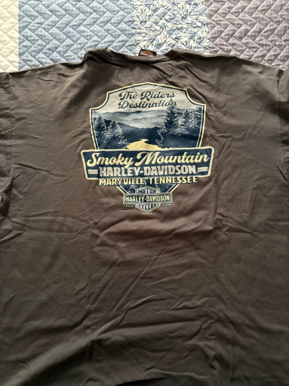Harley-Davidson Smoky Mountain Graphic Tee - Brown with Cream & Navy Print